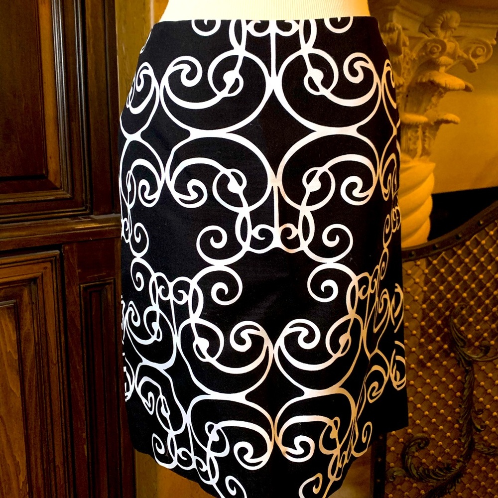 Ann Taylor Skirt
